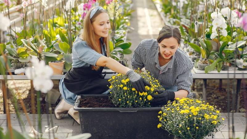 Garden tips decoradhouse: Ideas to make your garden bloom with style